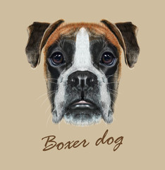 Boxer dog animal cute face. Vector fawn German boxer puppy head portrait. Realistic fur portrait of purebred brown boxer doggy isolated on beige background.