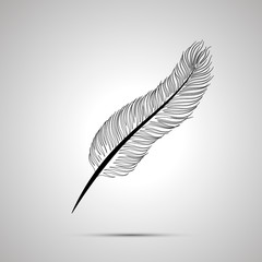 Realistic feather outline simple black icon