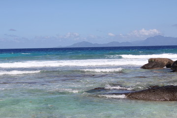 North island seychelles beach Indian Ocean palms