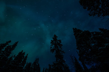 Fototapeta na wymiar Aurora over the winter forest