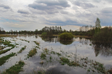 Obraz premium Spill of the river in the fields in early spring in cloudy weather.