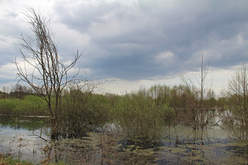 Spill of the river in the fields in early spring in cloudy weather.