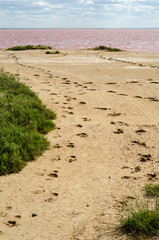 Salt lake. Elton. Footprints in the sand.