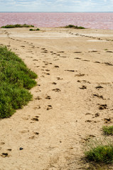 Salt lake. Elton. Footprints in the sand.
