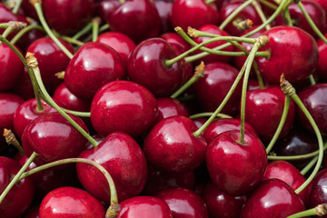 Red Cherry Background