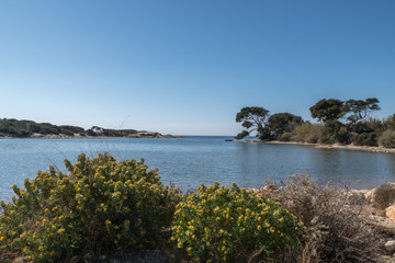 Obraz premium Iles d'Embiez