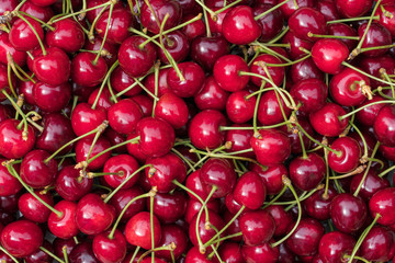 Red Cherry Background
