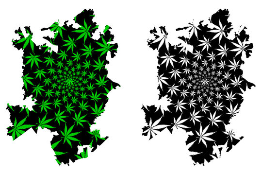 Charlotte city (United States of America, USA, U.S., US, United States cities, usa city) -  map is designed cannabis leaf green, City of Charlotte map made of marijuana (marihuana,THC) foliage,