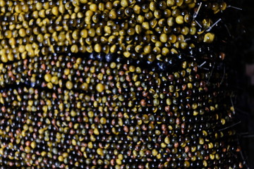 bracelets and jewelry