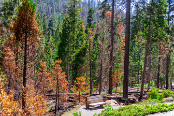 A View From Wofford Heights, California. Scenic View Of Mountains Against Sky