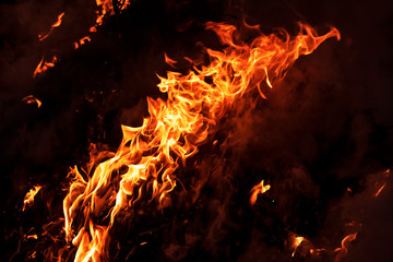 Fire flames on black background. Flame in forest outdoors.