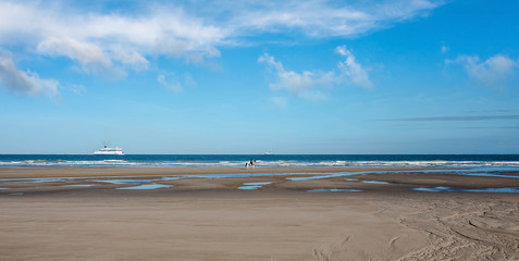 cheval au galop sur la plage