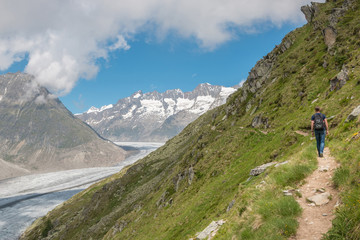 Naklejka na ściany i meble Panorama of mountains scene, walk through the great Aletsch Glacier