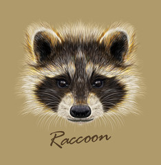 Raccoon Procyon lotor wild animal face. Vector cute North American mask raccoon head portrait. Realistic fur portrait of funny trash cat racoon isolated on beige background.
