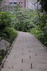 Fototapeta na wymiar Hiking in Taiwan, Asia
