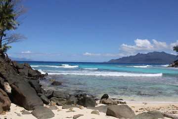 North island seychelles beach Indian Ocean palms
