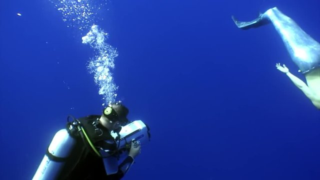 Cameraman shoots mermaid underwater on clean blue background in sea. Young woman freediver undine water nymph with monofin poses for camera.