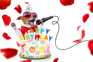 Stickers pour porte Chien fou joyeux anniversaire chien