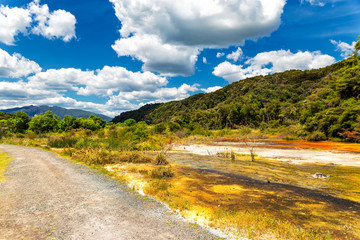 Trail in a beautiful colorful landscape of Waimangu Volcanic Valley park, Rotorua, New Zealand
