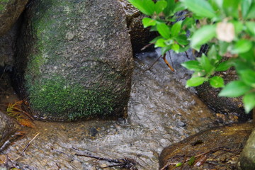 秋と水のせせらぎ