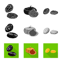 Vector design of food  and raw  symbol. Set of food  and nature   vector icon for stock.