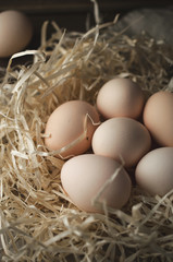 Organic eggs on hay