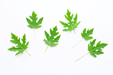 Papaya leaves isolated on white