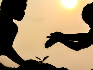 Silhouette of two small girls nurturing and watering young baby plants growing in germination sequence on fertile soil at sunset background