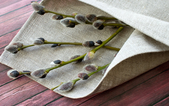 Sprigs of spring willow iie on a napkin