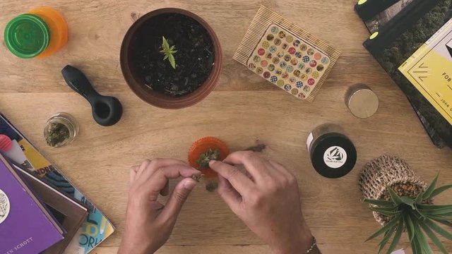 Grinding Cannabis Buds and rolling a Medical Marijuana Joint, stopmotion, timelapse