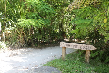 seychelles private island beach palm tree indian ocean