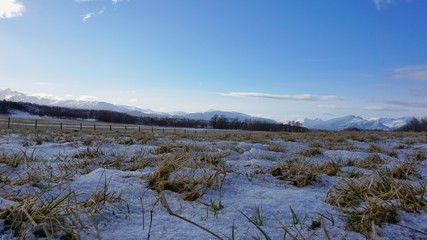Field with mountain ridge in background
