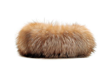 Blond animal fur isolated on white background