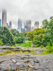 Central Park in summer