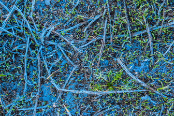 Painted natural pattern.