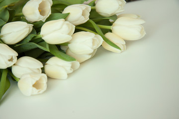 Romantic background festive bouquet of flowers. Beautiful white tulips with leaves. Flower card for the event. Birthday, love, festival.