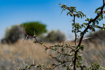 Luxus Lodge nahe Windhoek Namibia