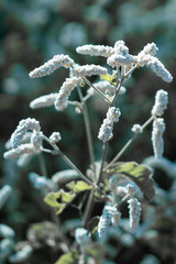 Luxus Lodge nahe Windhoek Namibia