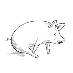 Contour Line Drawing. Funny pig. Hand-drawn. Coloring for kids.