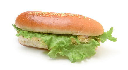 Sandwich isolated on white background