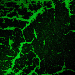 Obraz premium w_s_2_8_12