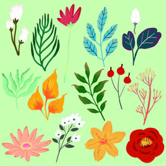 floral set doodle illustration