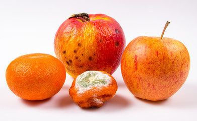 Old and fresh apple and moldy and fresh mandarin isolated on white background.