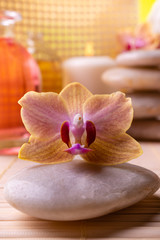 Wellness center. In the foreground an orchid. In the background candles, stacked stones, and bottles with perfumed essences