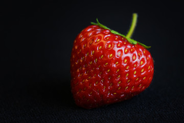 Juicy fresh ripe one strawberry just plucked in the garden