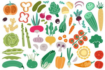 Color vegetables. Tomato zucchini potatoes champignon garlic radish. Vegan healthy meal organic food delicious vegetable vector doodle set