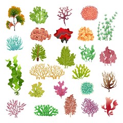 Coral and seaweed. Underwater flora, sea water seaweeds aquarium game kelp and corals. Ocean plants vector set - obrazy, fototapety, plakaty