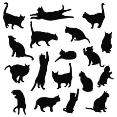 Set vector silhouettes of the cat, different poses, standing, jumping and sitting,  black color, isolated on white background