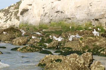 France site des deux Caps
