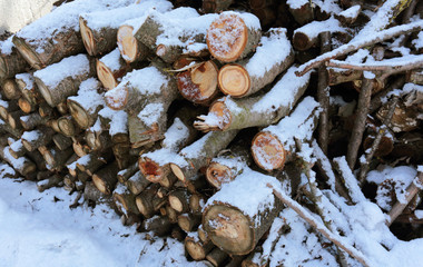 wooden logs, firewood under the spring snow.  slices of wood looks beautiful in the snow